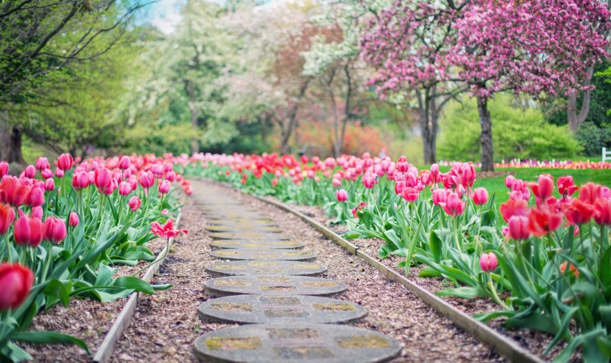 Comment amenager son abri de jardin ?