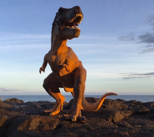 Le plus grand fossile de Dinosaure
